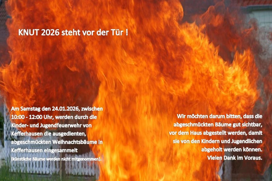 KNUT – Bäume einsammeln