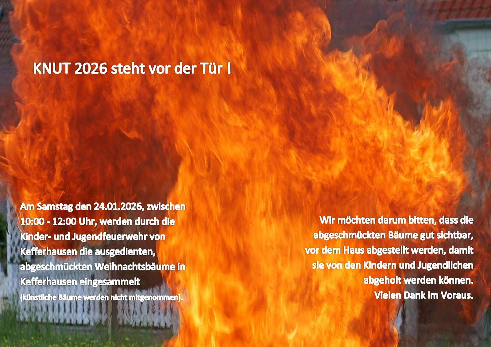 KNUT – Bäume einsammeln